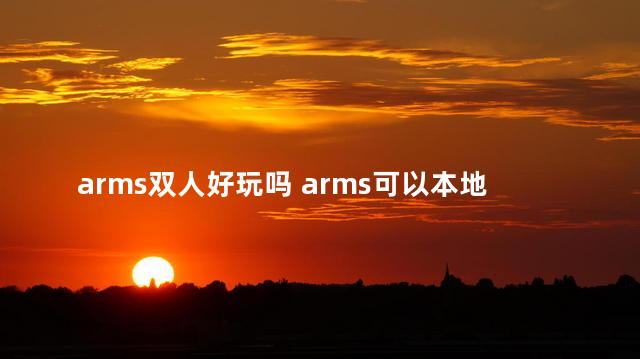 arms双人好玩吗 arms可以本地四人玩么